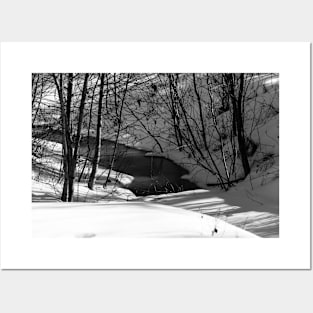 Winter scenery in black and white Posters and Art